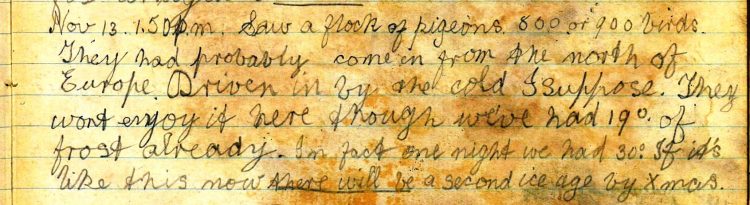 Diary entry 13th November 1919