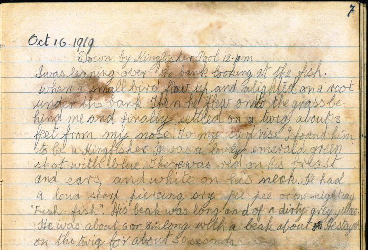 Viola Stirling's Nature Diary, reproduced with permission of Gargunnock Estate Trust