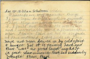 PD100, Viola Stirling's nature diary, 1 Dec 1919. Reproduced with permission of Gargunnock Estate Trust
