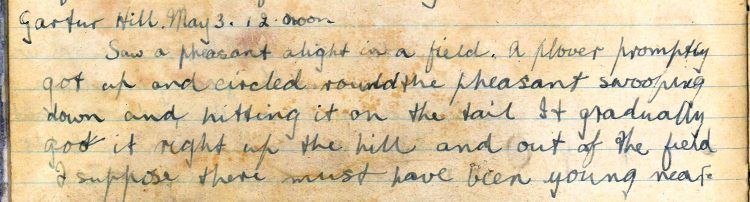 PD100, Viola Stirling's nature diary, 3 May 1921. Reproduced with permission of Gargunnock Estate Trust