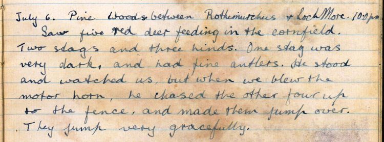 PD100, Viola Stirling's nature diary, 6 Jul 1921. Reproduced with permission of Gargunnock Estate Trust