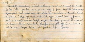 Diary entry for 27th April 1928